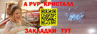 apvp Можга